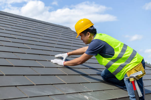 Best Local Roofing Companies  in Somonauk, IL