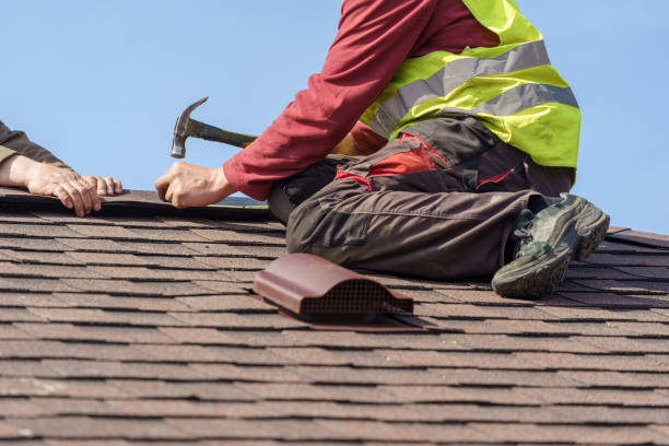 Best Roof Maintenance Services  in Somonauk, IL