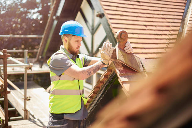 Professional Roofing Contractor in Somonauk, IL