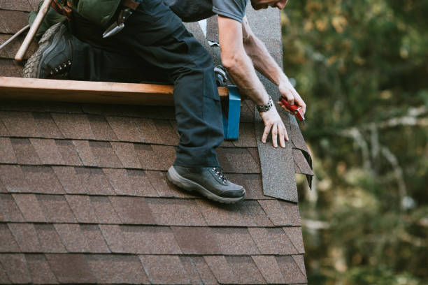 Gutter Installation and Roofing in Somonauk, IL