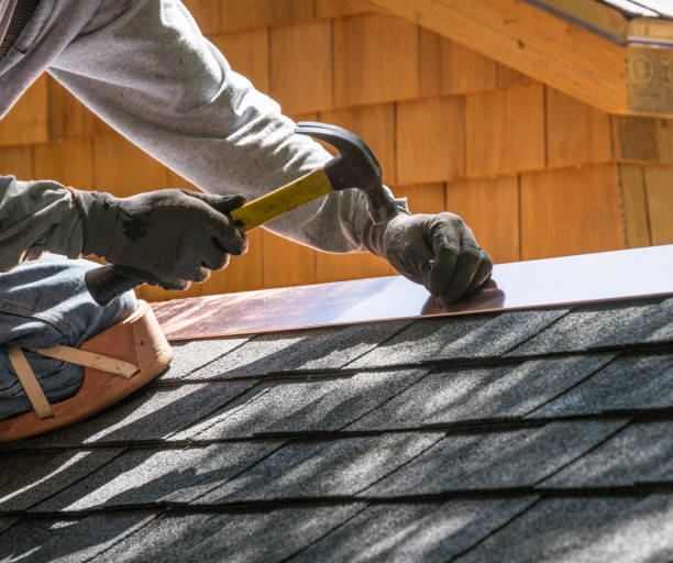 Best Roofing Contractor Near Me  in Somonauk, IL